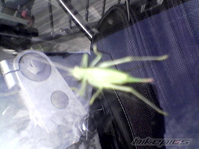Photo 205141