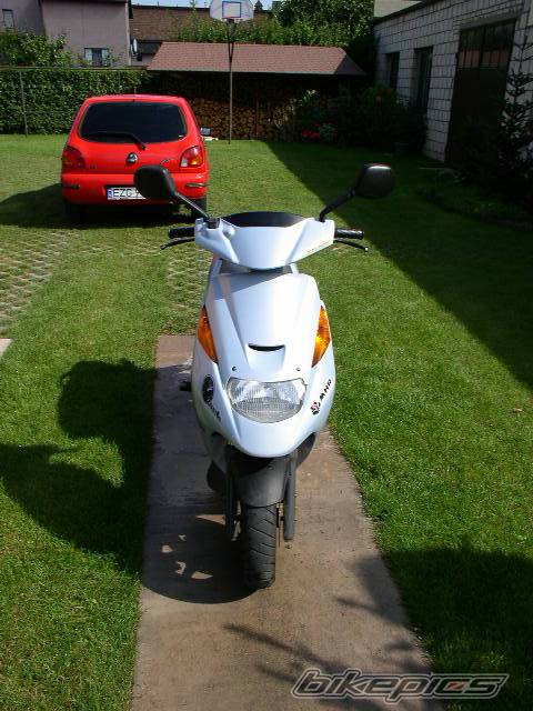 Photo 205161