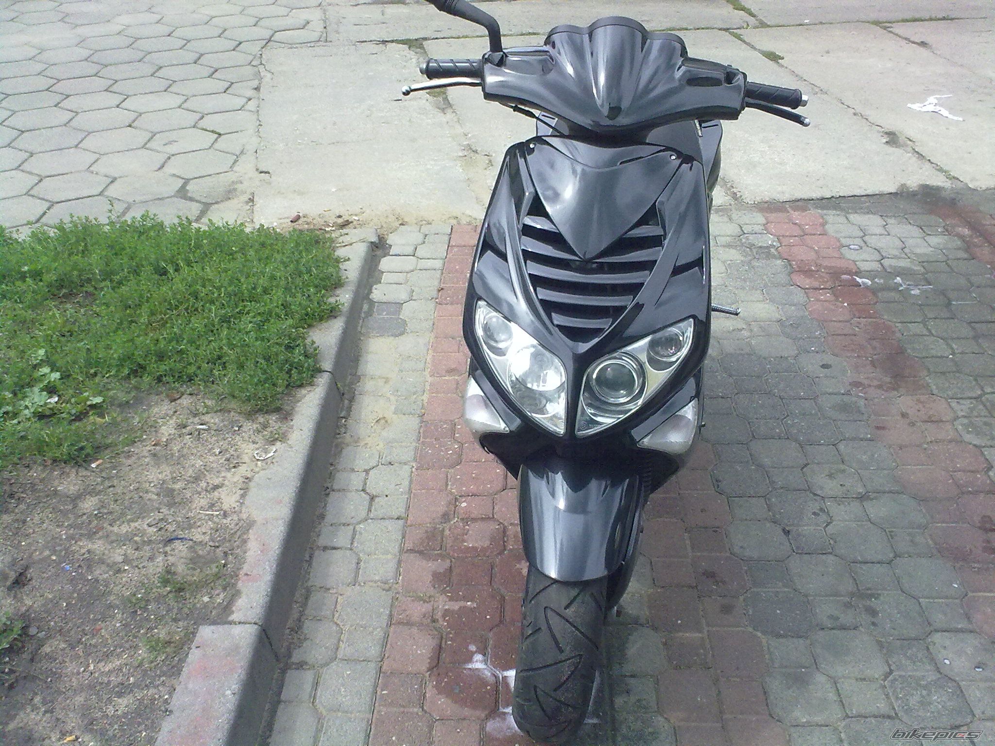 Photo 2051839