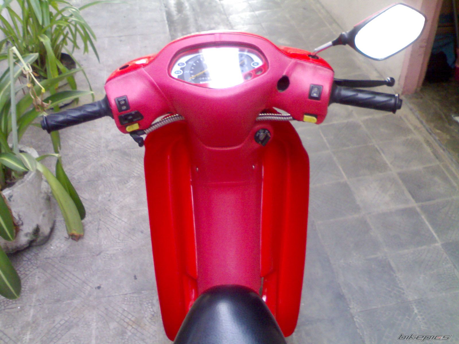 Photo 2051852