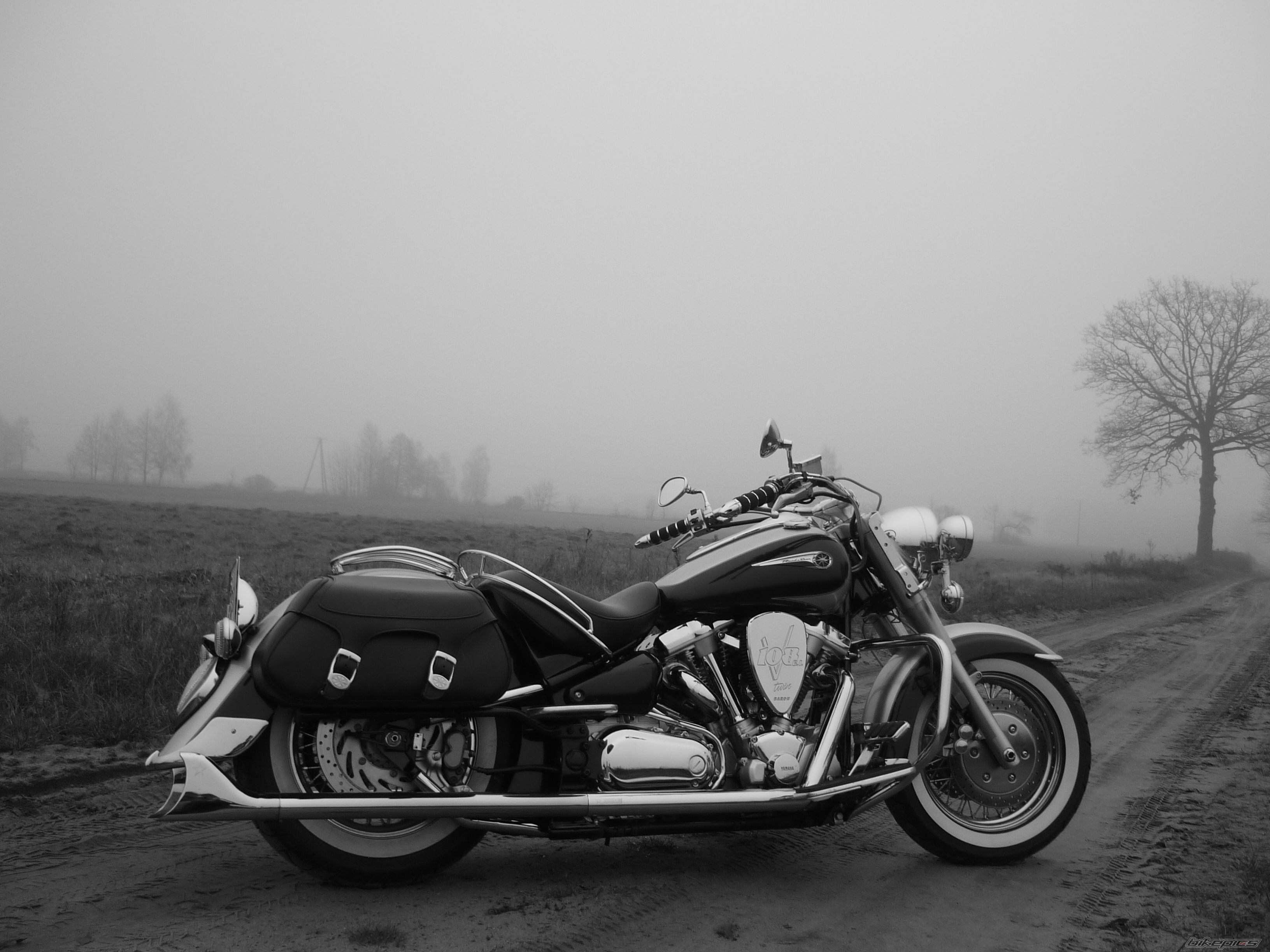 Photo 2052061