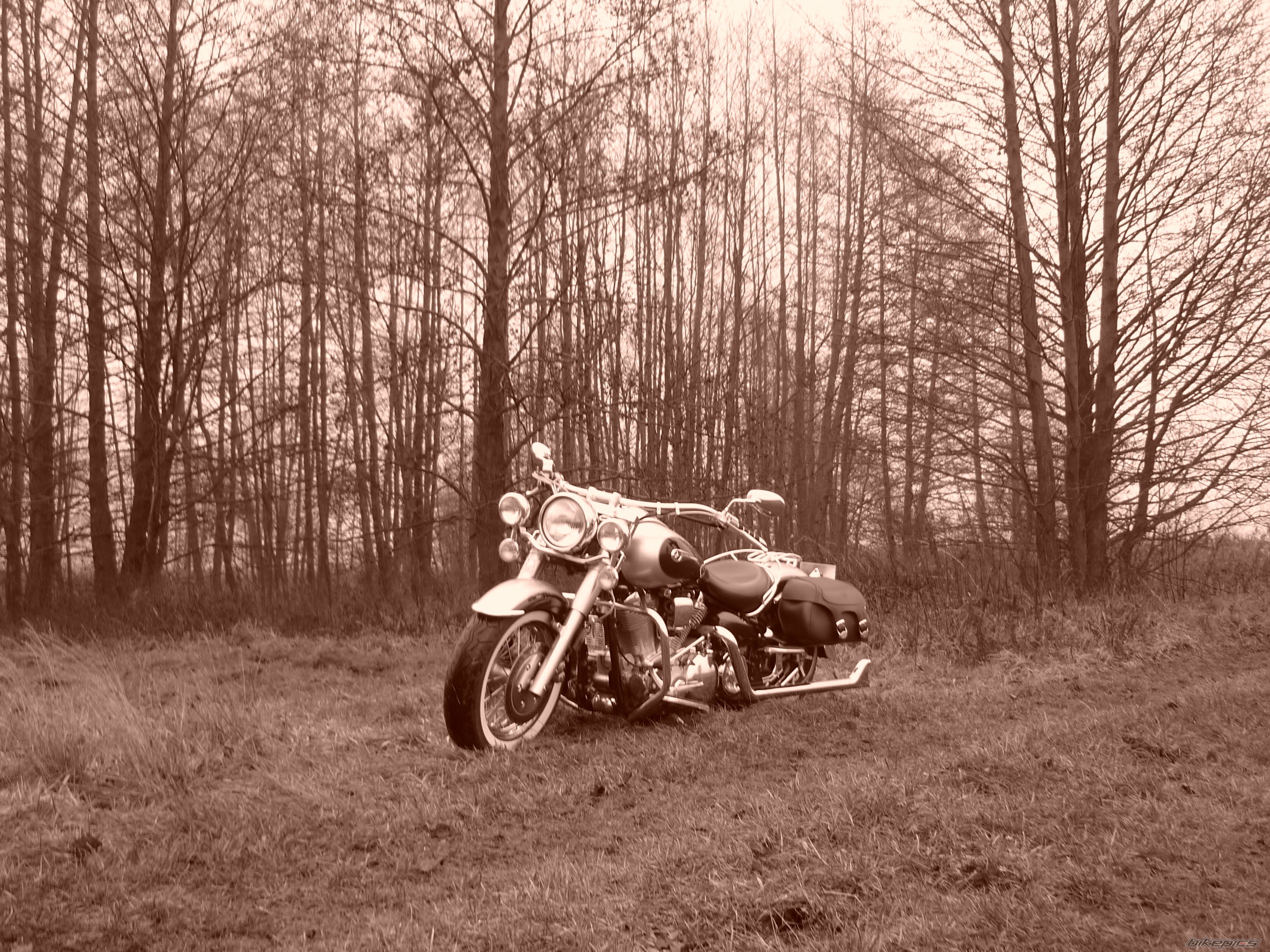 Photo 2052067