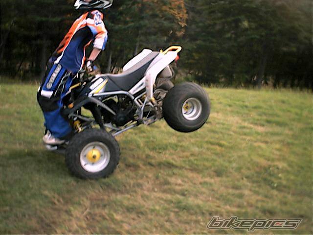 Photo 205233