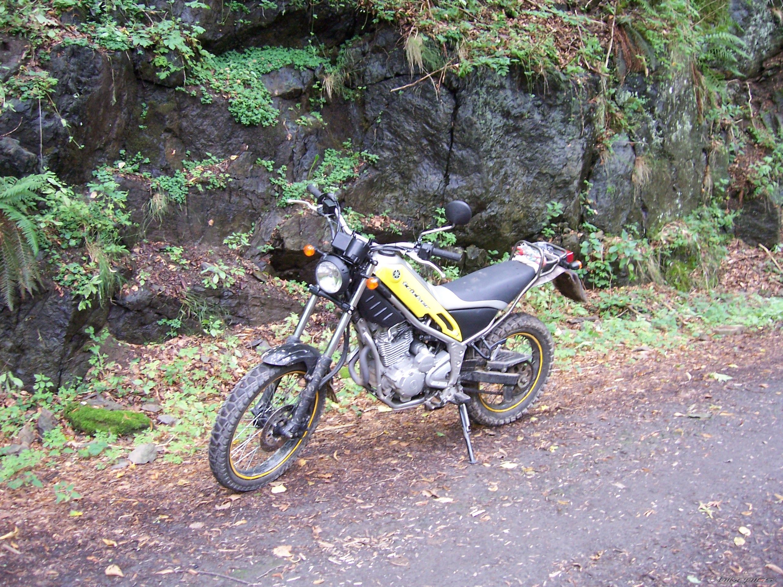 Photo 2052834