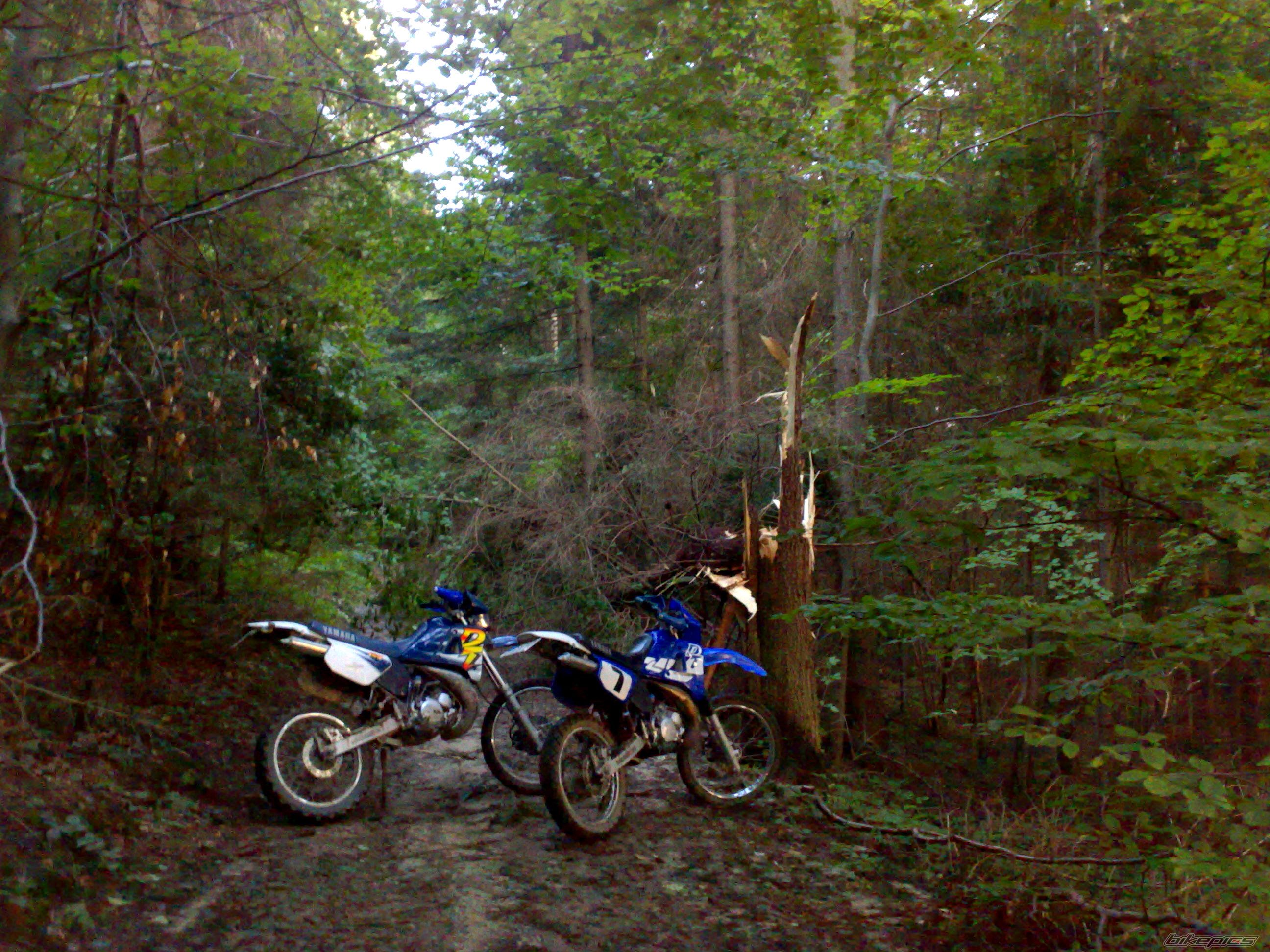 Photo 2053175
