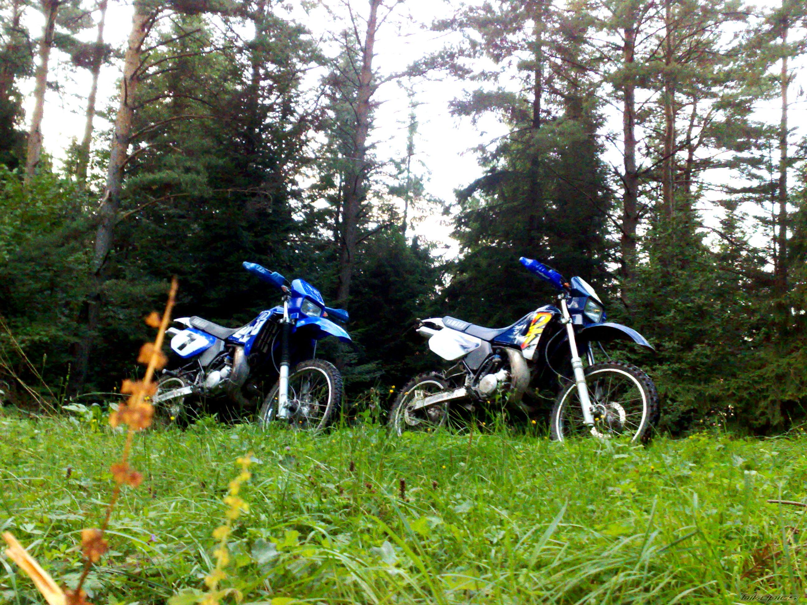 Photo 2053176