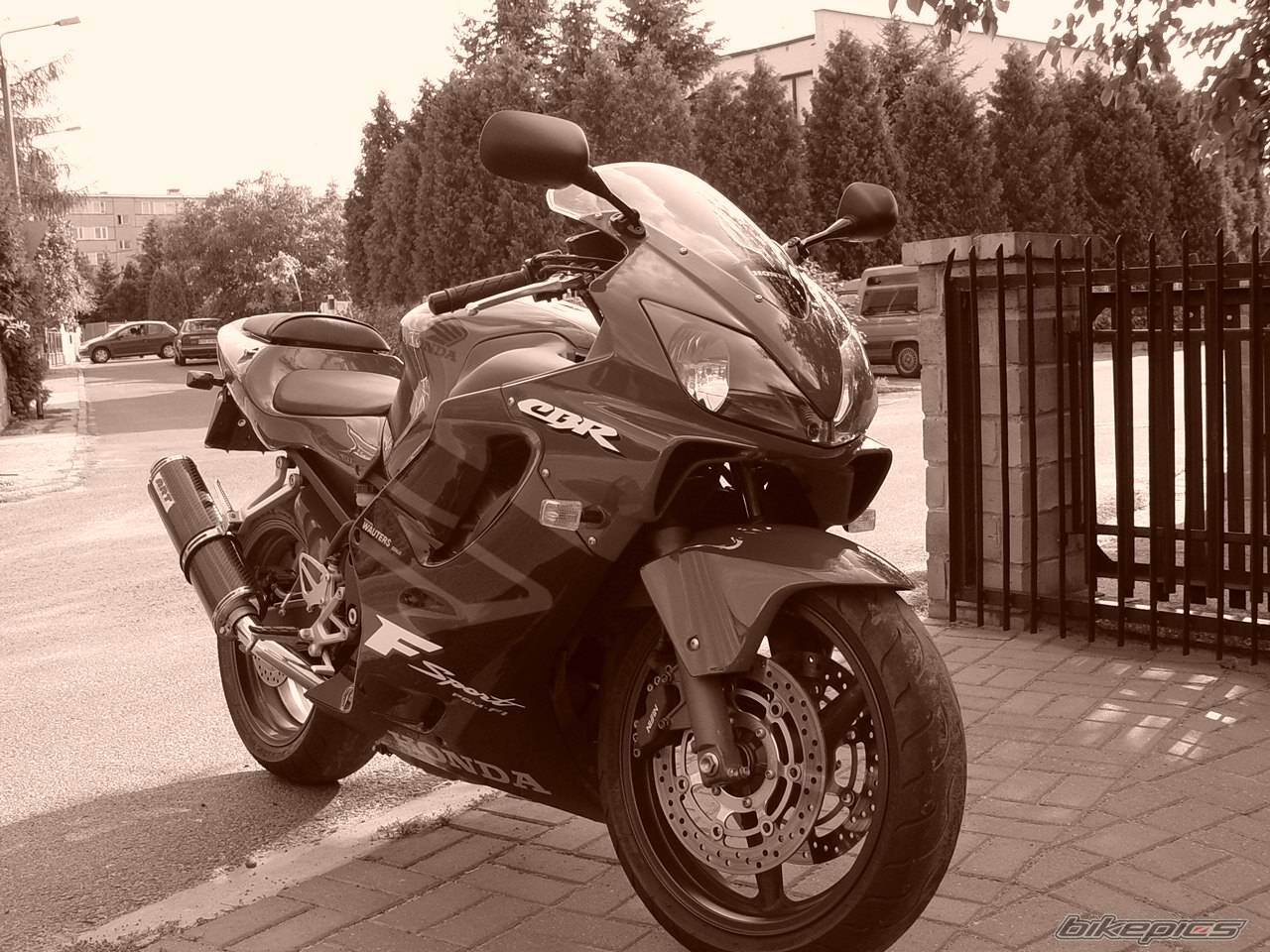Photo 205321