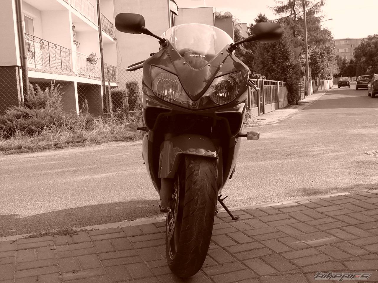 Photo 205324