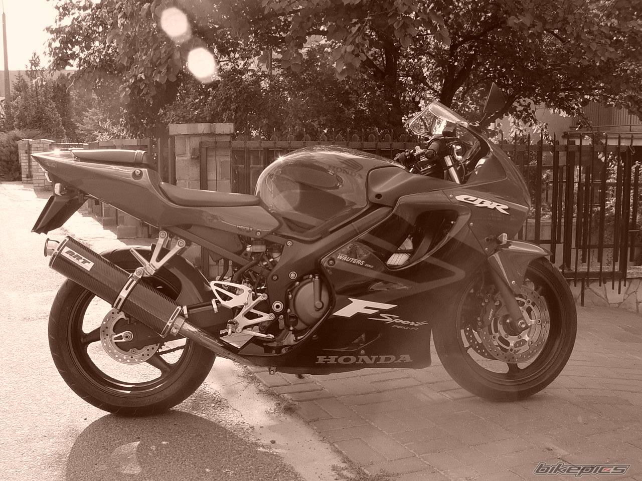 Photo 205325
