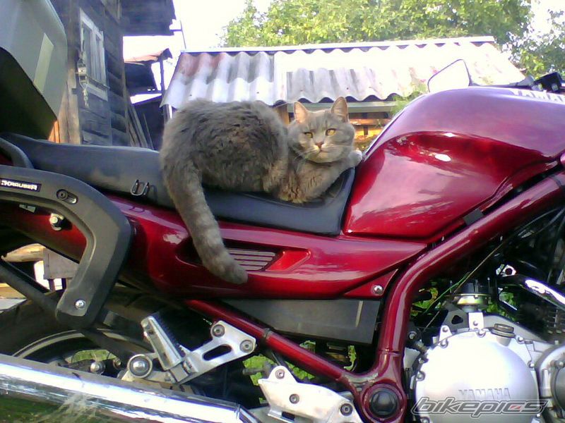 Photo 2053327