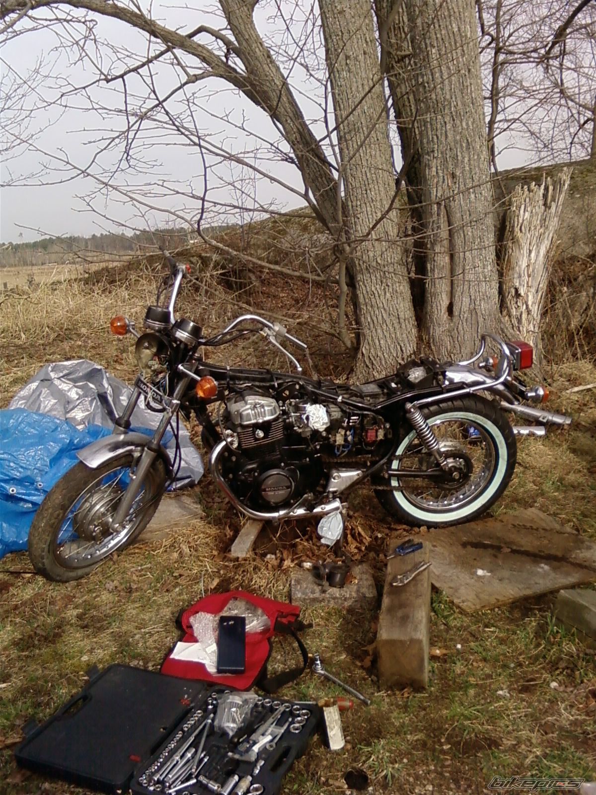 Photo 2053441