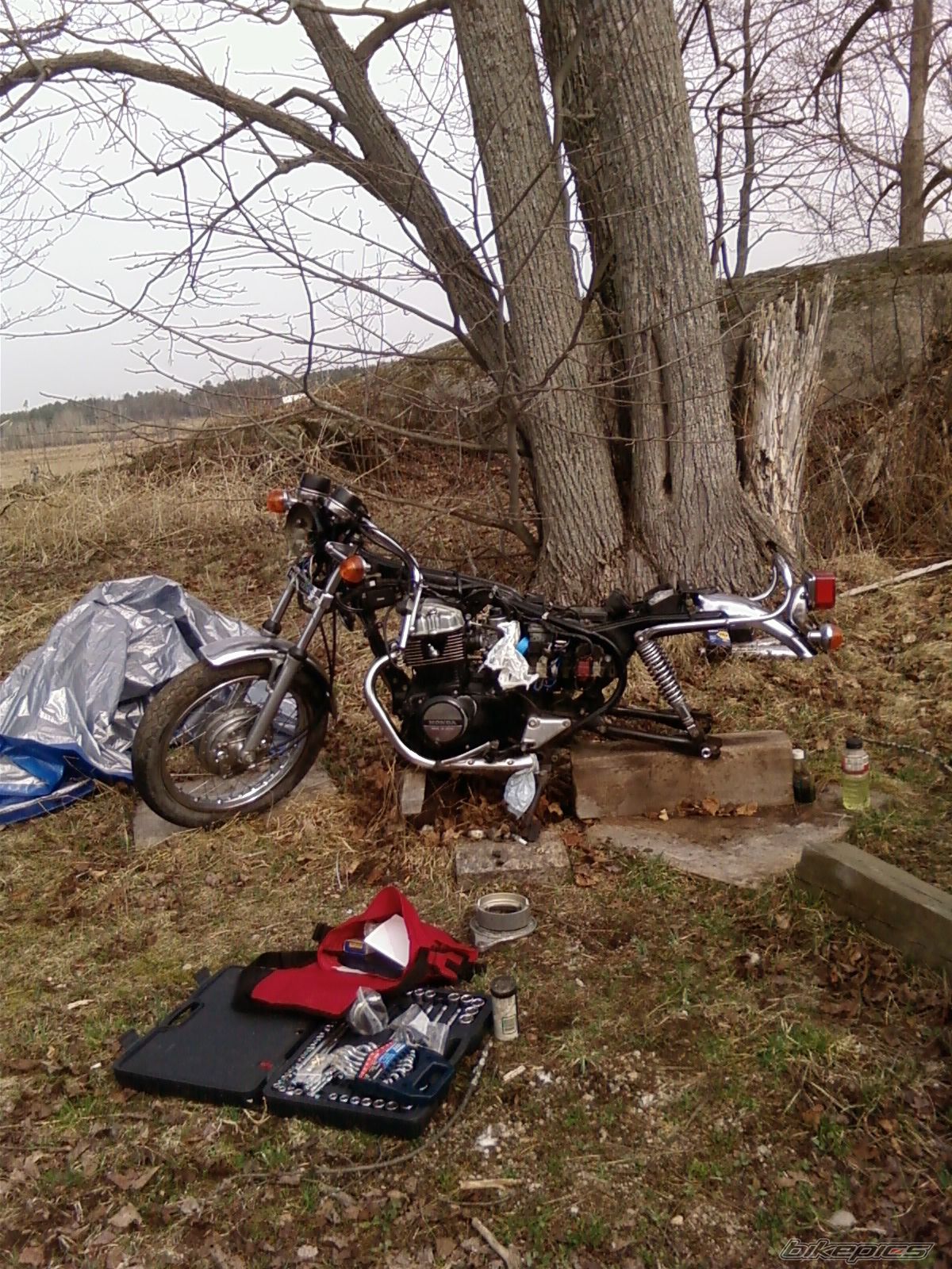 Photo 2053443