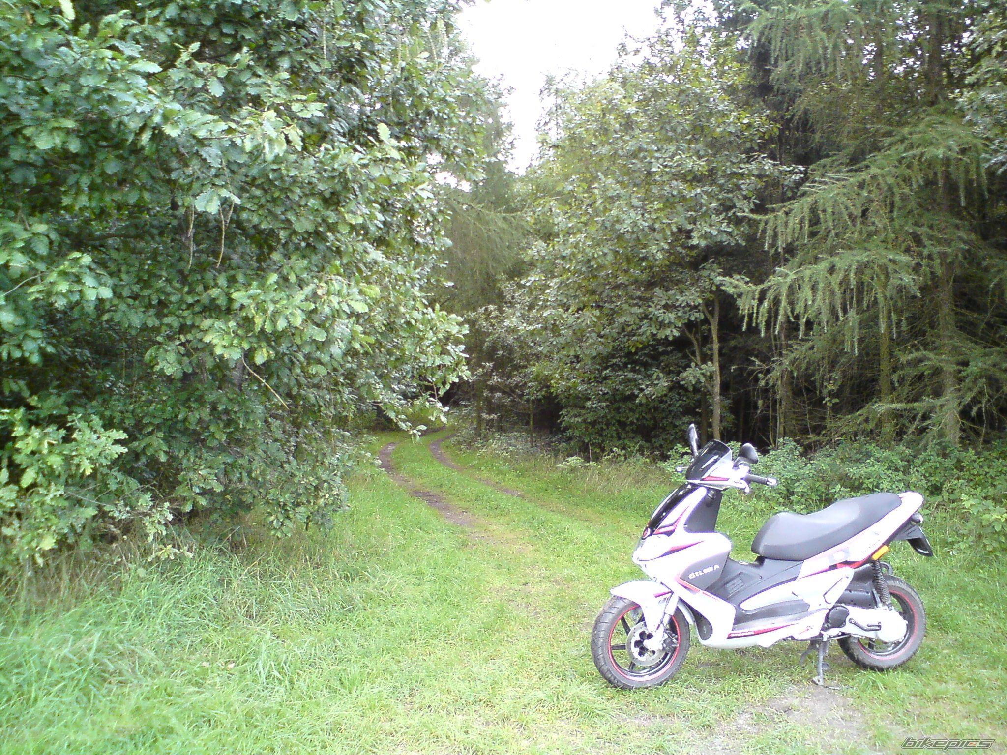 Photo 2053515