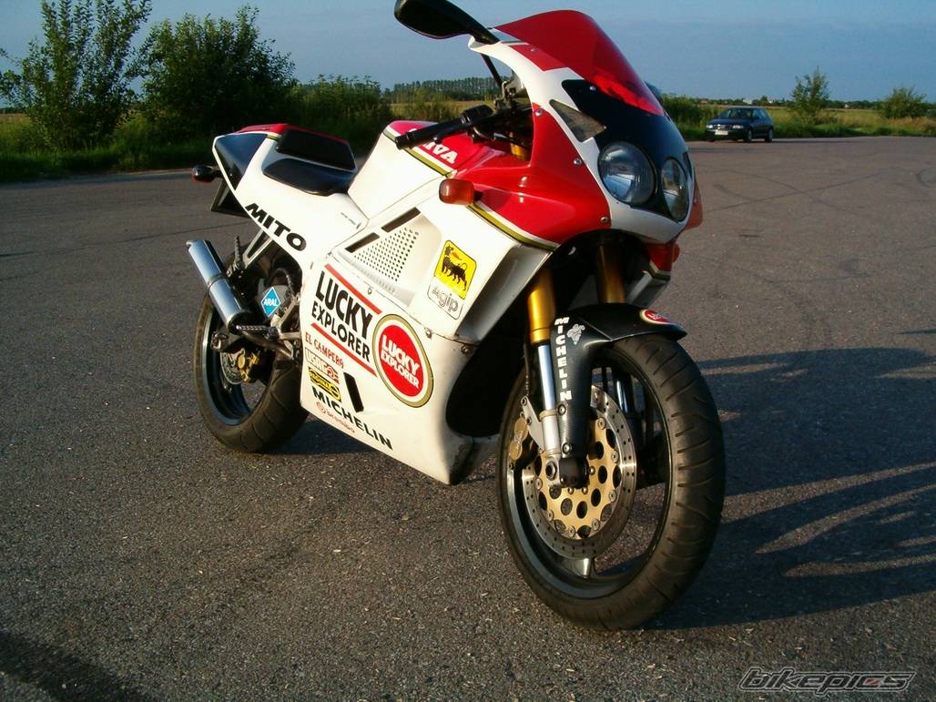Bike Photo 205372
