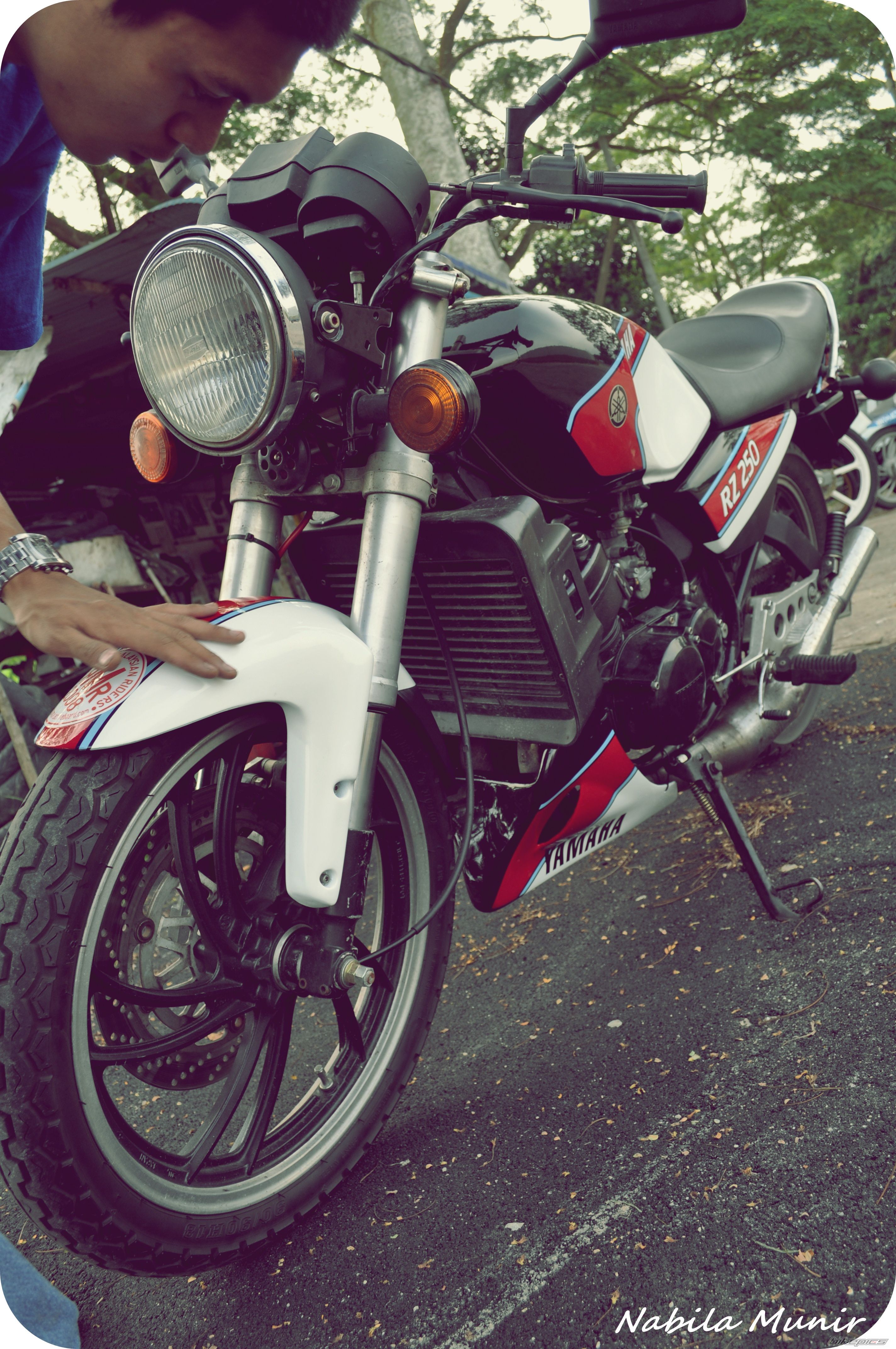 Photo 2053781