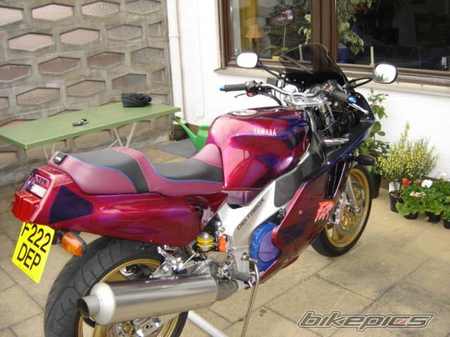 Photo 205384