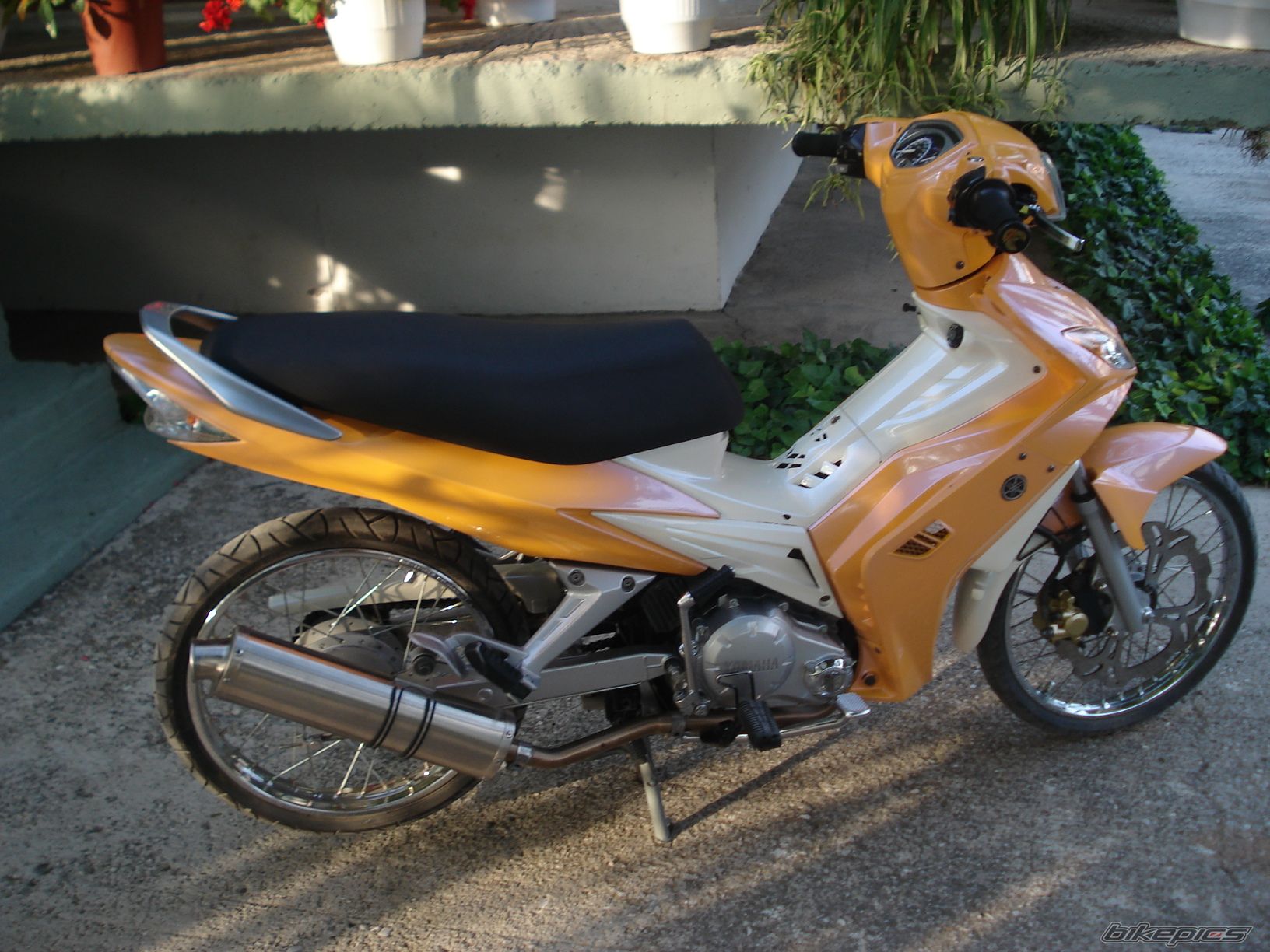 Photo 2053943