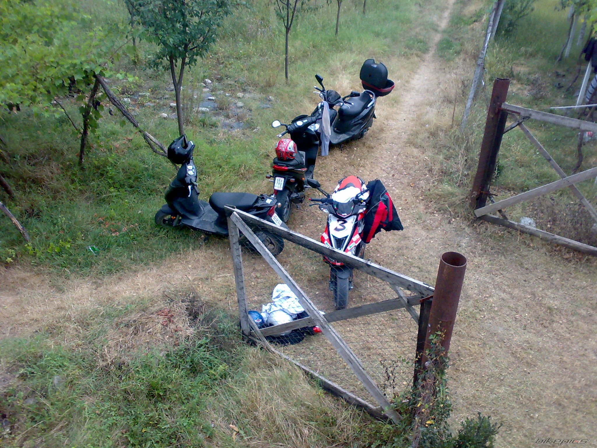 Photo 2054001