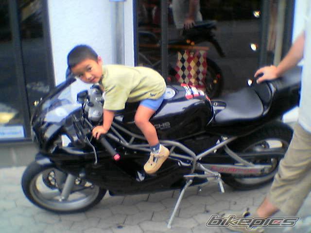 Photo 205416