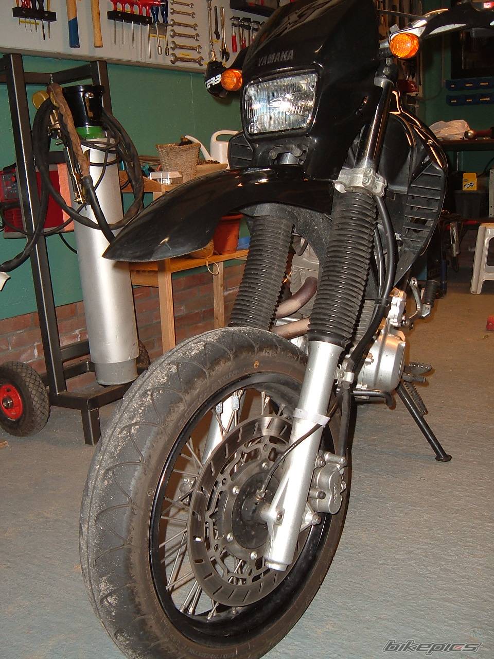 Photo 205426