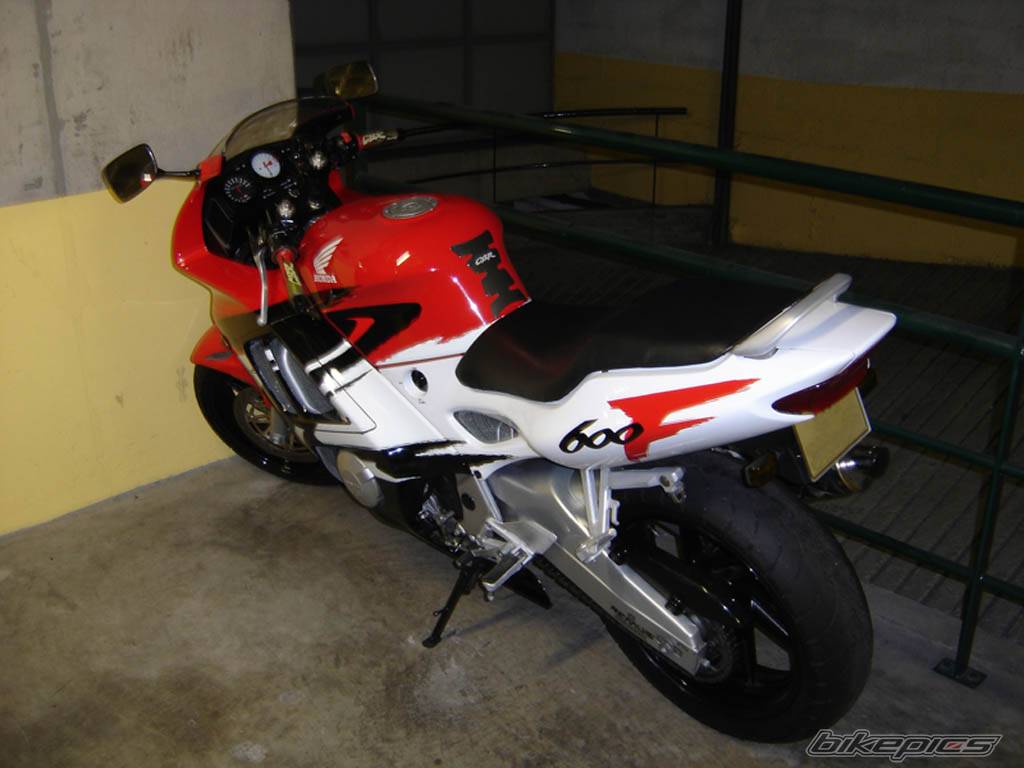 Photo 205428
