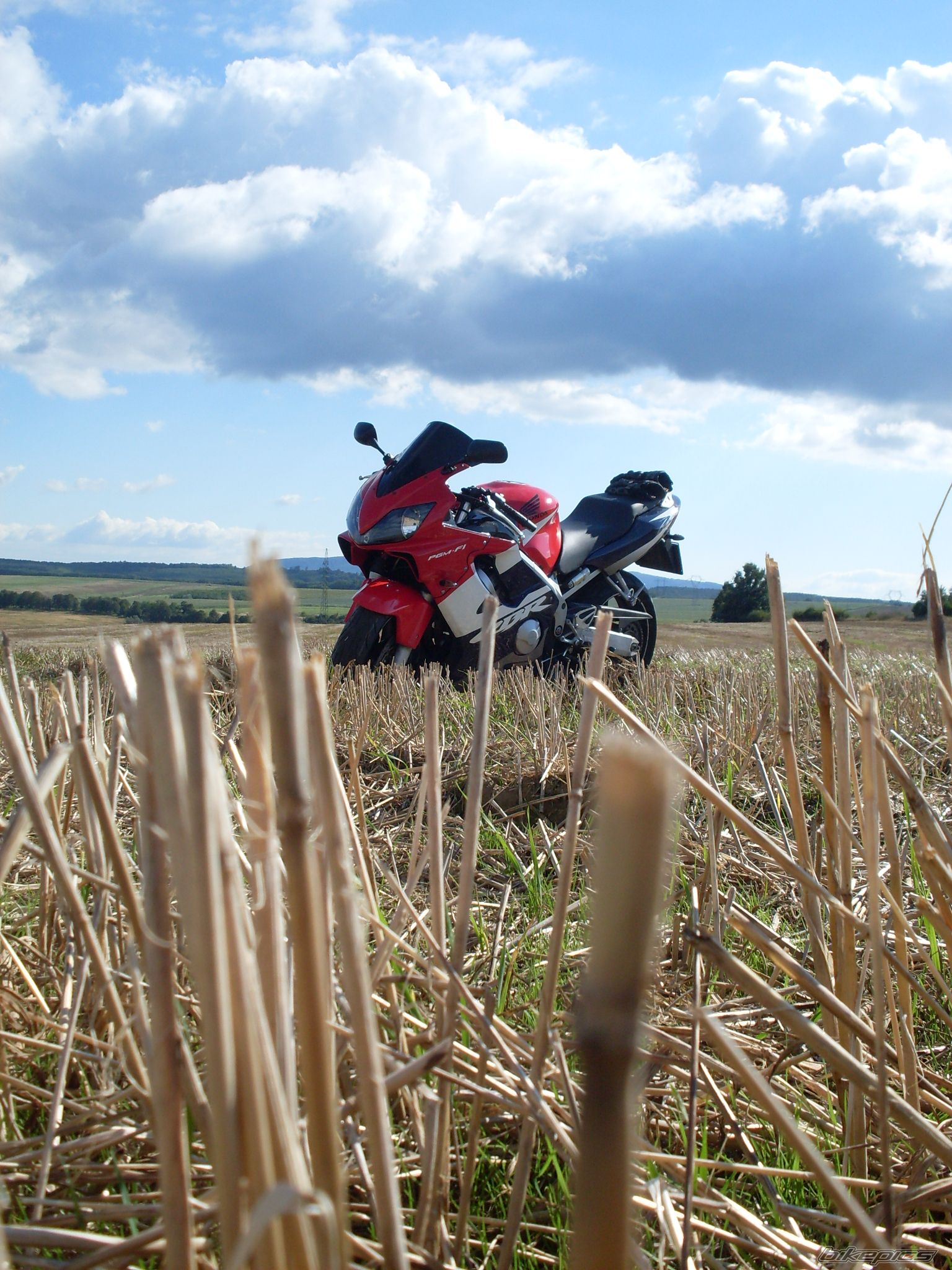 Photo 2054321