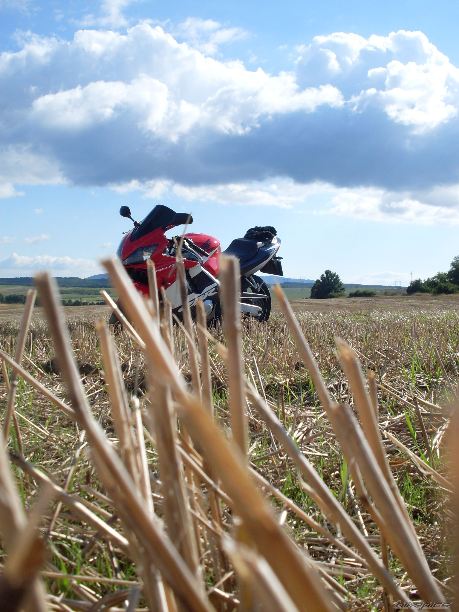 Bike Photo 2054325
