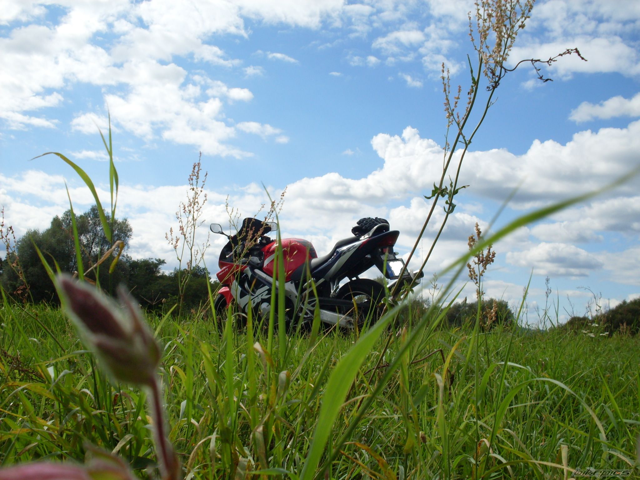 Photo 2054369