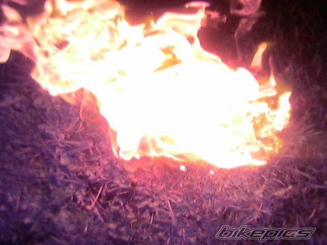 Bike Photo 205439
