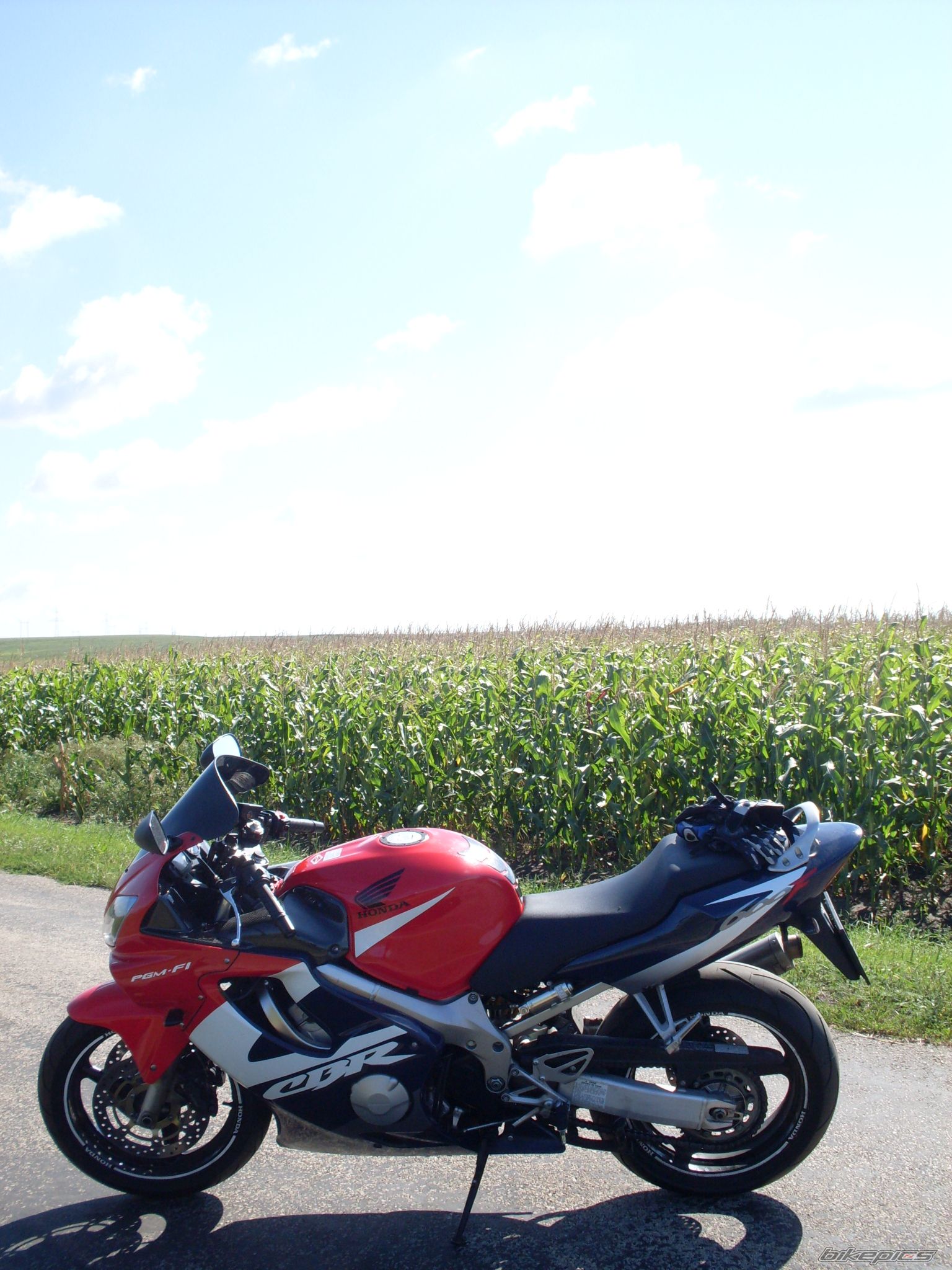Photo 2054405