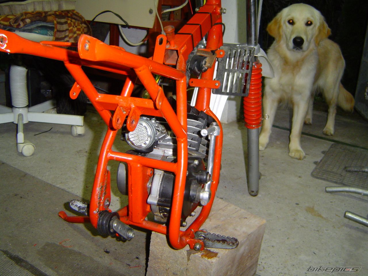 Photo 2054421