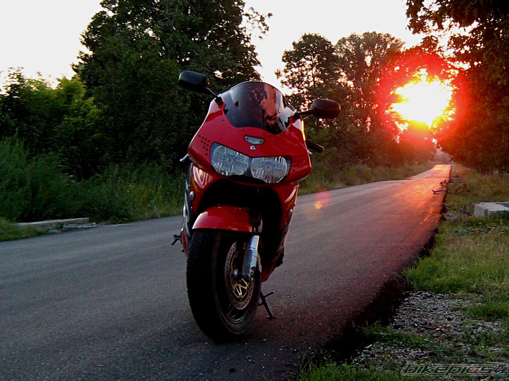Photo 2054439