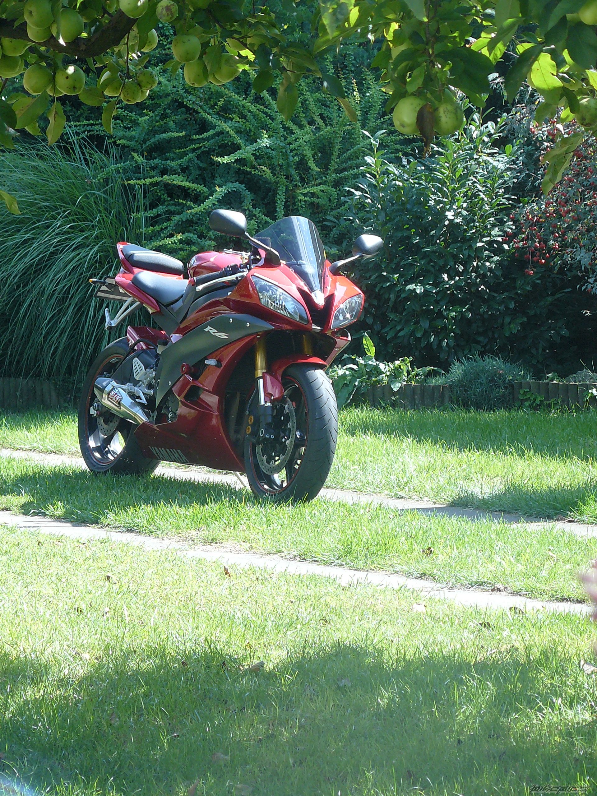 Photo 2054456