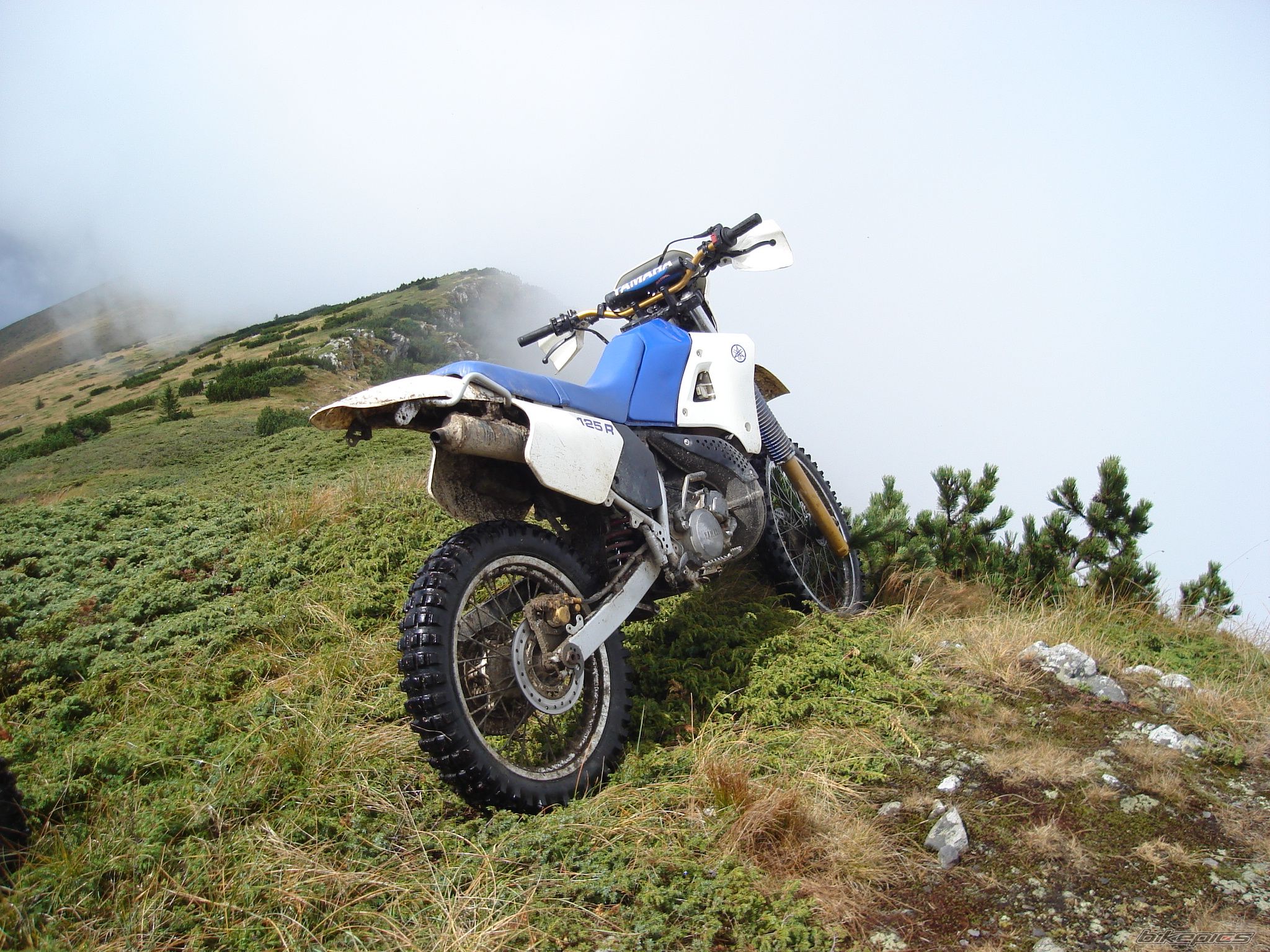 Photo 2054753