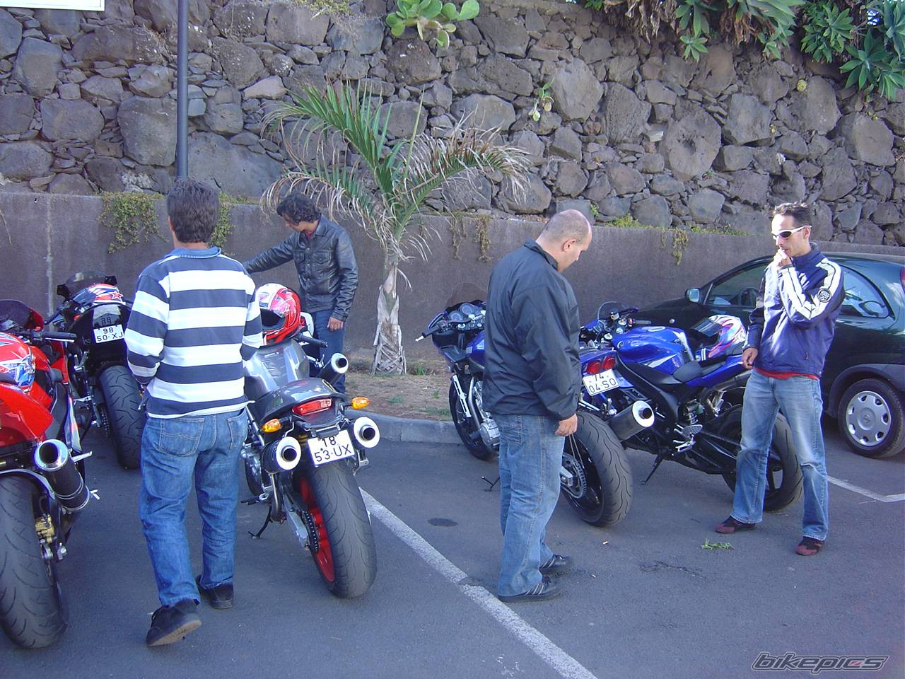 Photo 205482