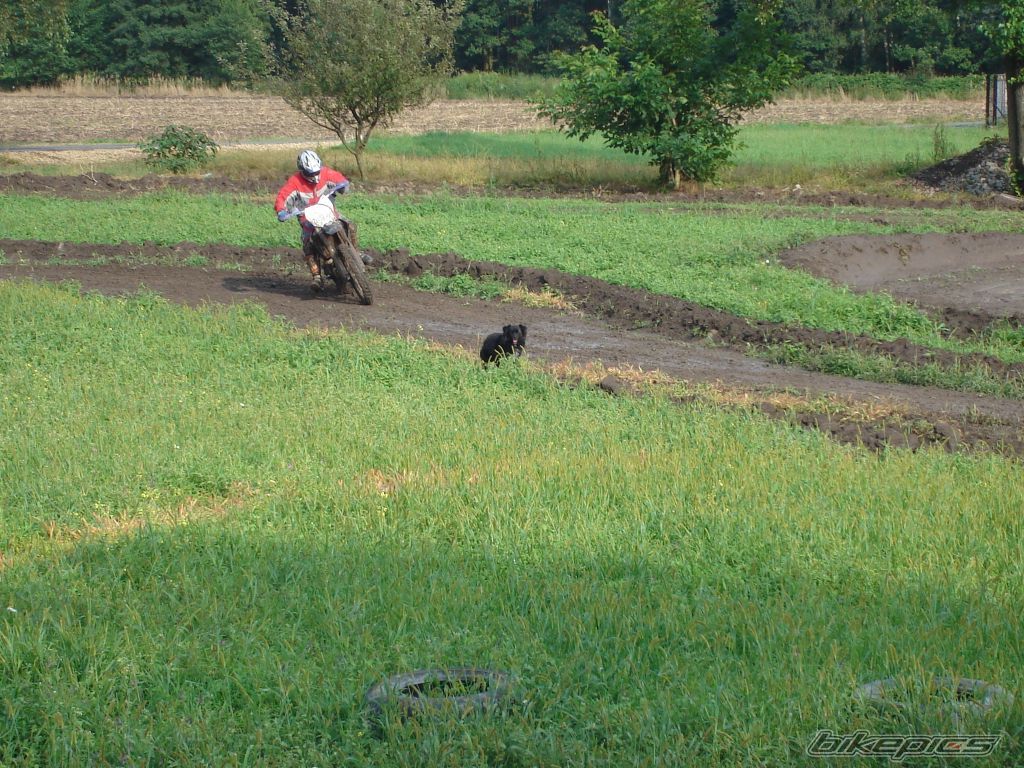 Photo 2055176