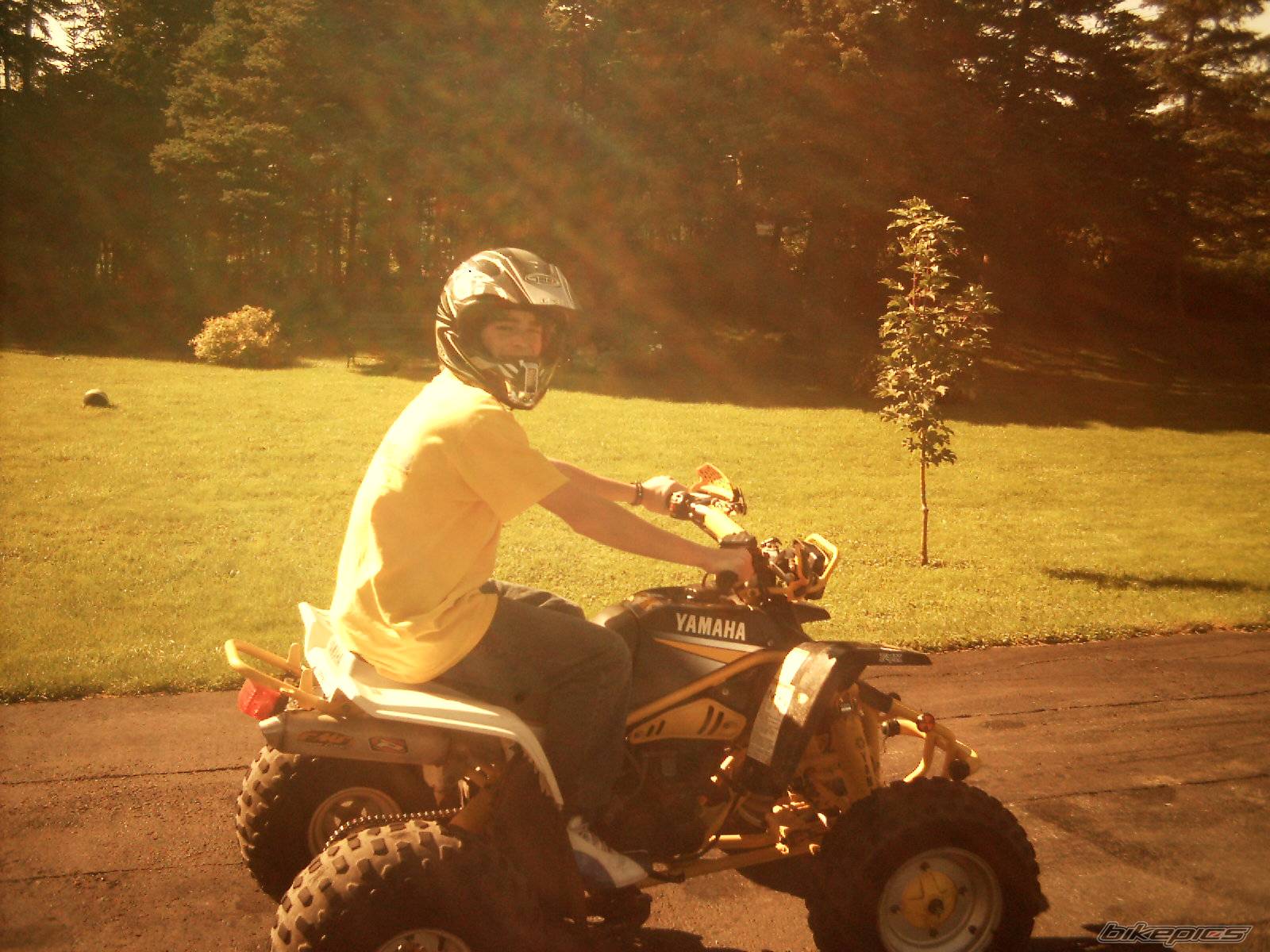 Photo 205522