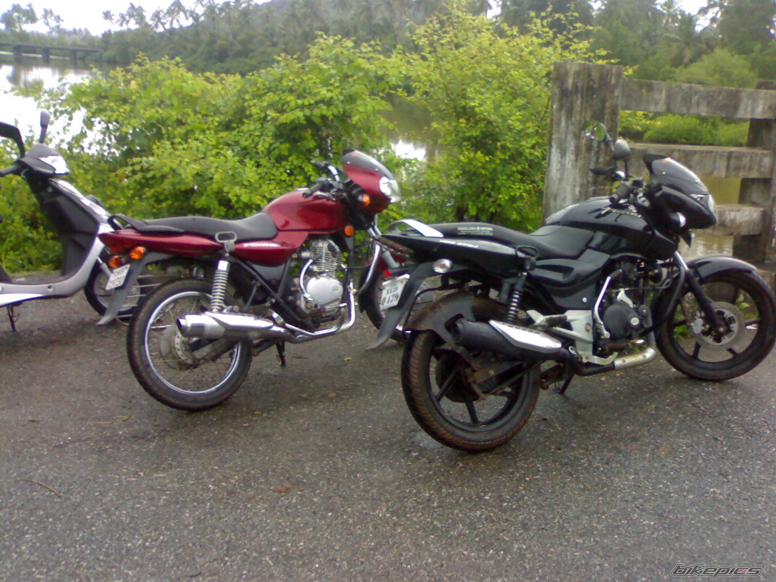 Photo 2055375