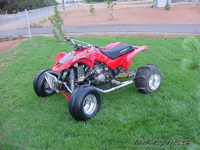 Photo 205546