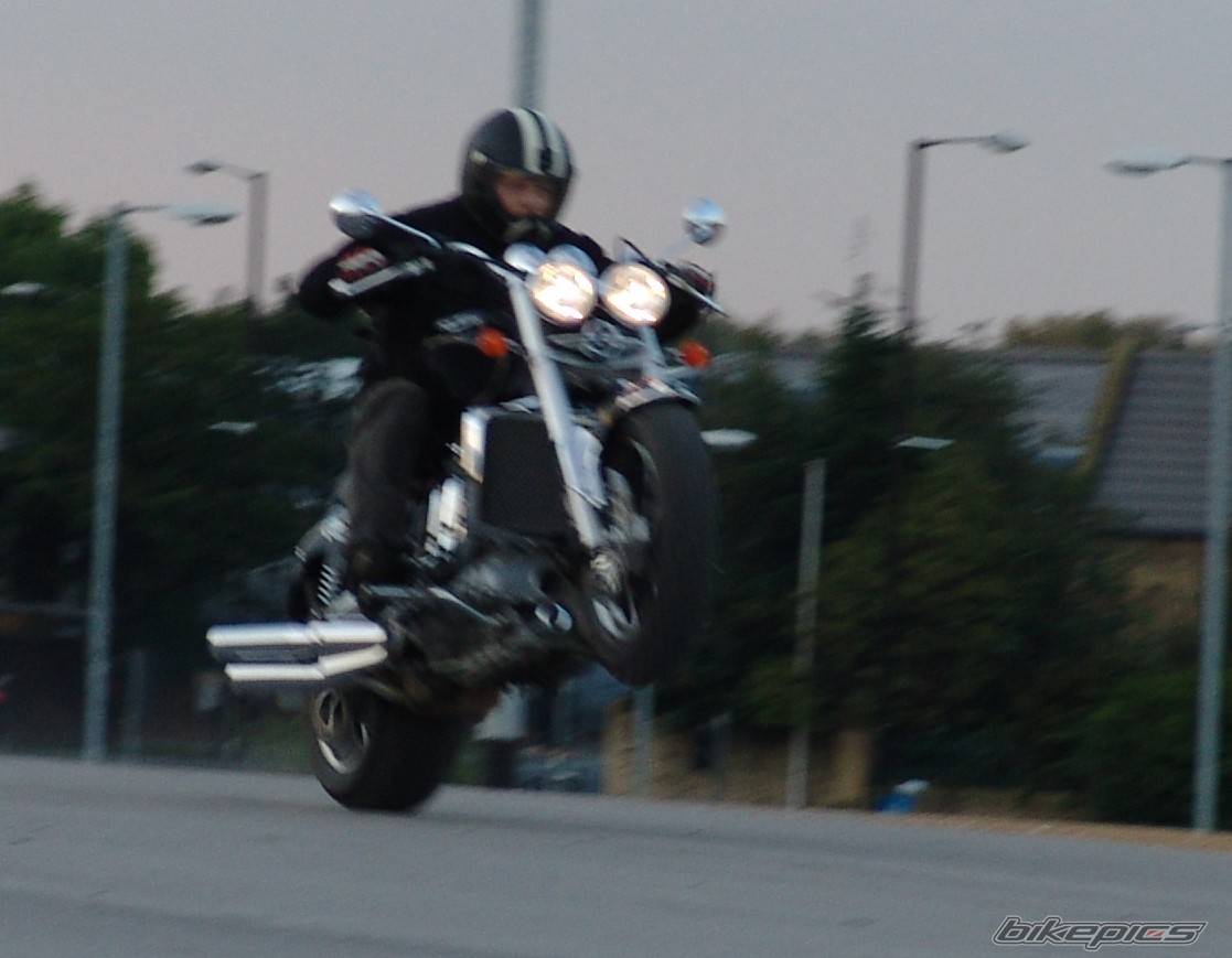 Photo 205593