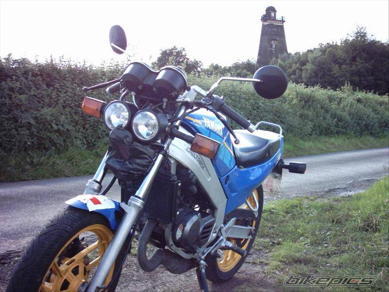 Photo 205627