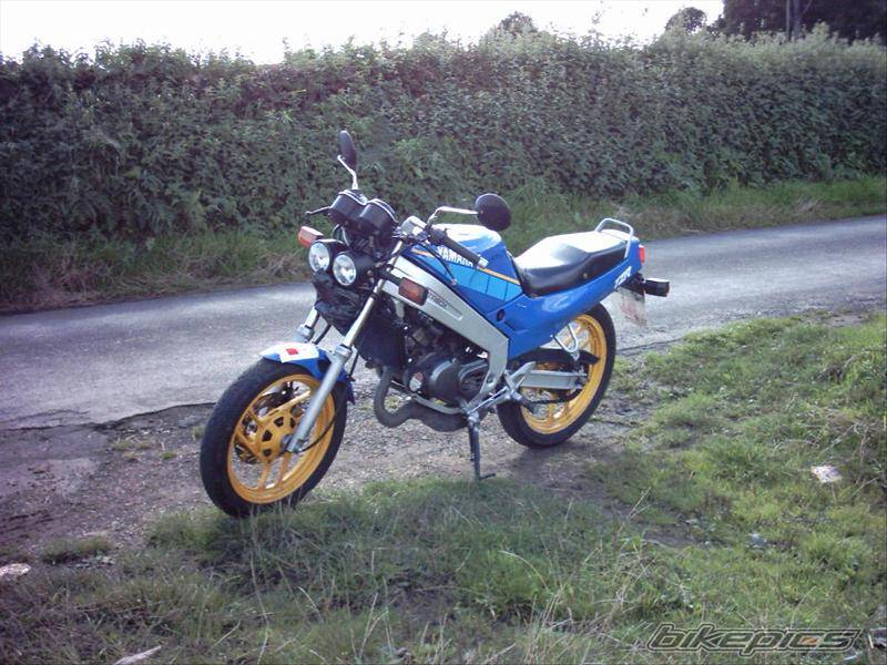 Photo 205628