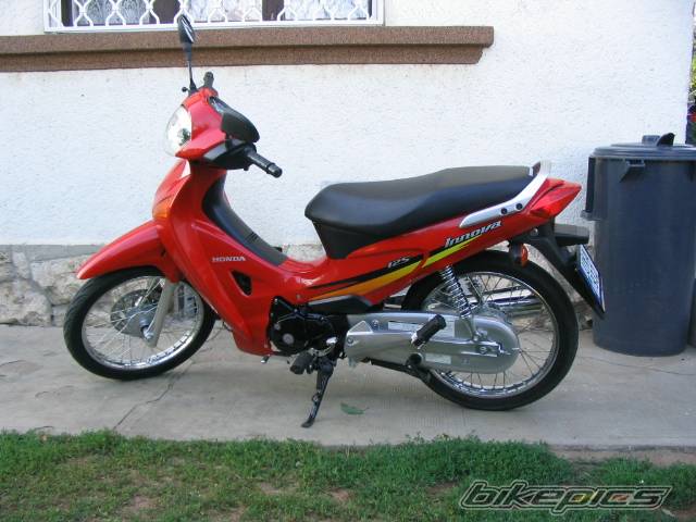 Photo 205633