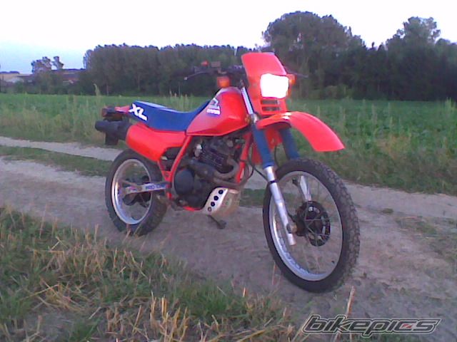 Photo 2056376
