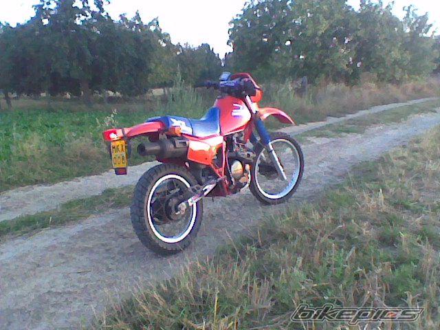 Photo 2056380