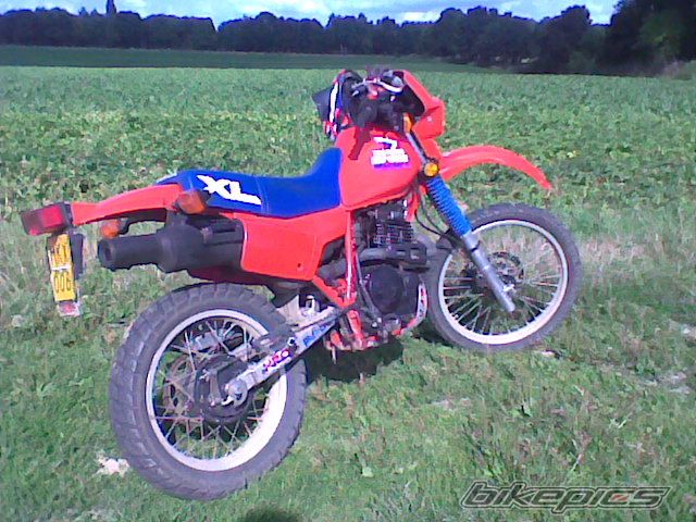 Photo 2056390