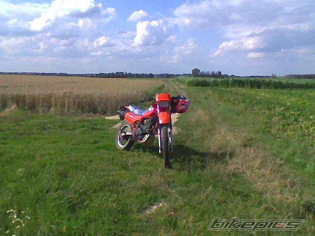 Photo 2056391
