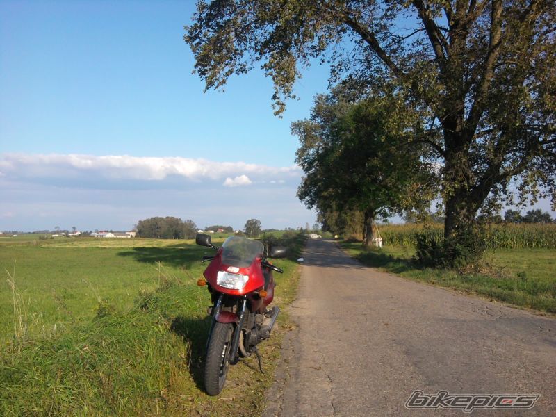 Photo 2056394