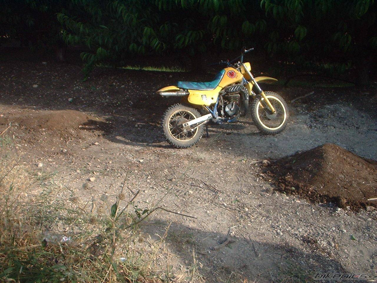 Photo 205670