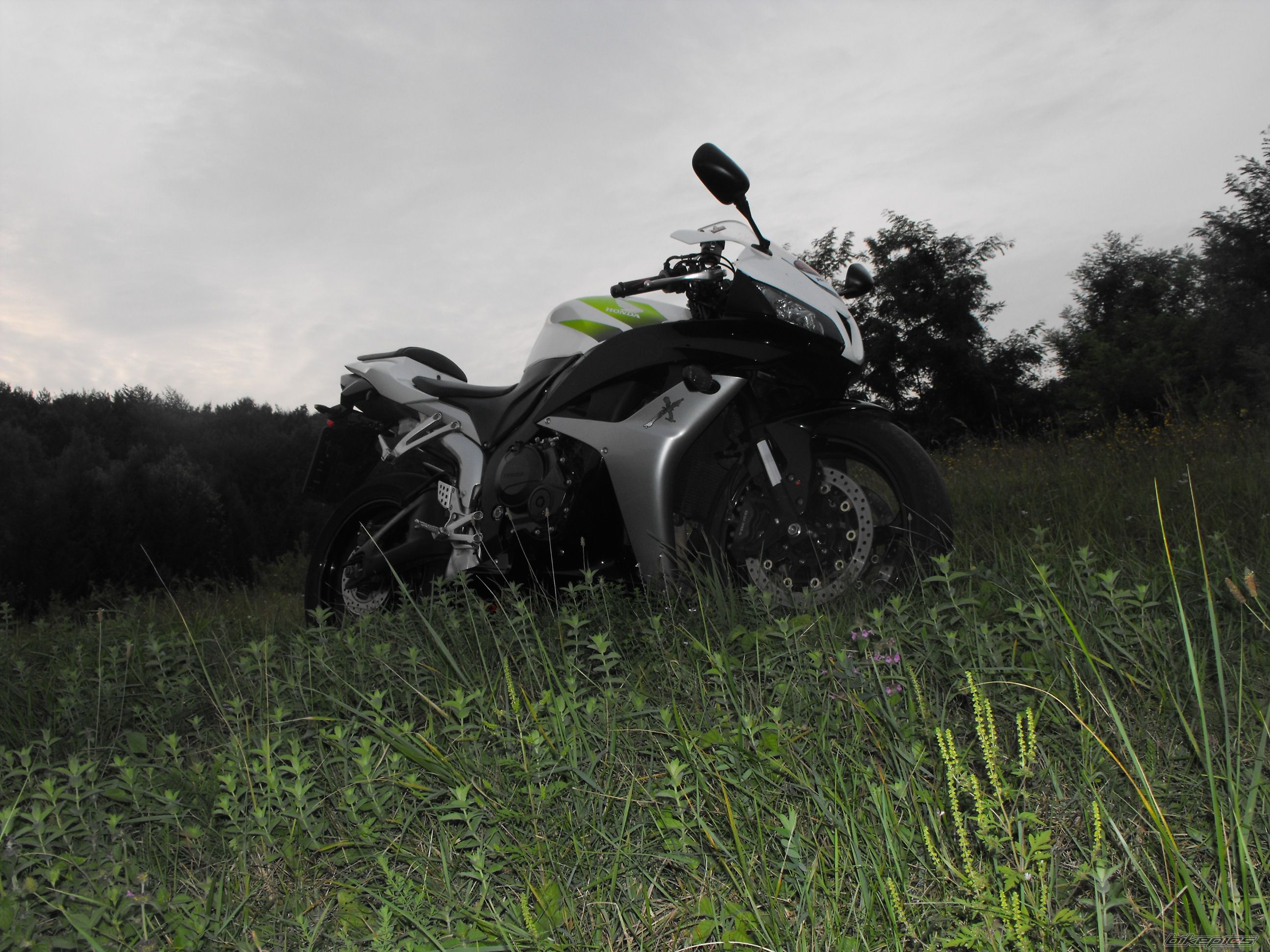 Photo 2056873